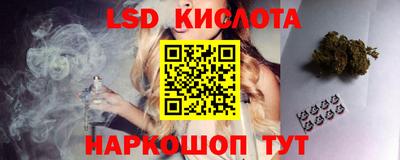 гидра Краснознаменск