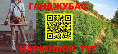 гидра Краснознаменск