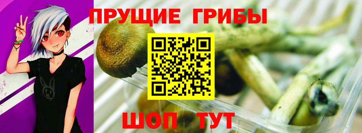 Карталы  Галлюциногенные грибы GOLDEN TEACHER  Вход с VPN 